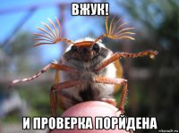 вжук! и проверка порйдена