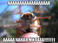 аааааааааааааааааа ааааа какая милаха!!!1111