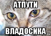 атпути владосика