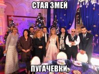 стая змей пугачевки.