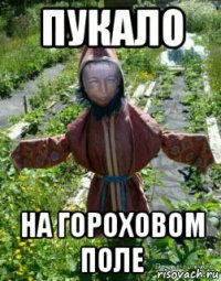 пукало на гороховом поле