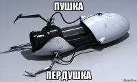пушка пердушка