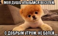 моя душа, улыбайся веселей, с добрым утром, не болей