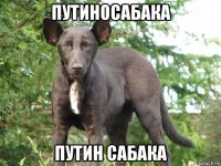путиносабака путин сабака