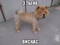 э ты не вискас