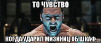 то чувство когда ударил мизиниц об шкаф