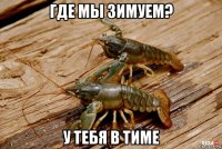 где мы зимуем? у тебя в тиме