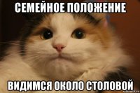 семейное положение видимся около столовой