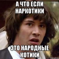 а что если наркотики это народные котики