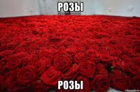розы розы