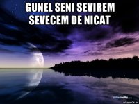 gunel seni sevirem sevecem de nicat 