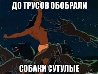 до трусов обобрали собаки сутулые