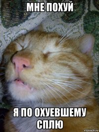 мне похуй я по охуевшему сплю