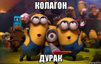 колагон дурак