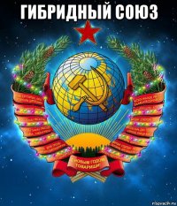 гибридный союз 