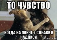 то чувство когда на пикче 2 собаки и надписи