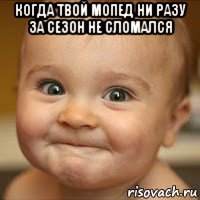 когда твой мопед ни разу за сезон не сломался 