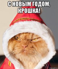 с новым годом, крошка! 
