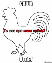 саша ответ