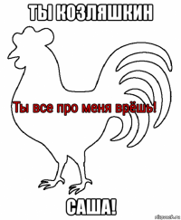 ты козляшкин саша!