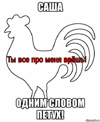 саша одним словом петух!