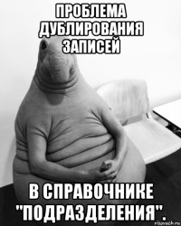 проблема дублирования записей в справочнике "подразделения".