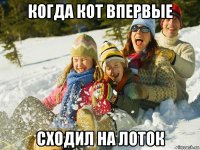 когда кот впервые сходил на лоток
