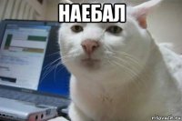наебал 
