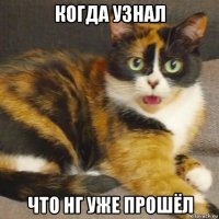 когда узнал что нг уже прошёл