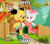 круте захар