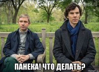  панека! что делать?