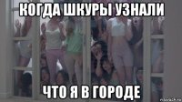 когда шкуры узнали что я в городе