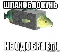 шлакоблокунь не одобряет!