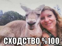  сходство %100