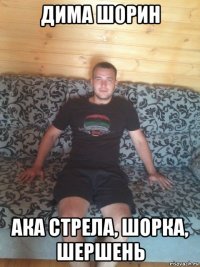 дима шорин ака стрела, шорка, шершень
