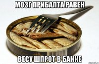 мозг прибалта равен весу шпрот в банке