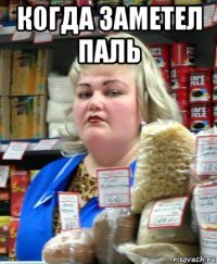 когда заметел паль 