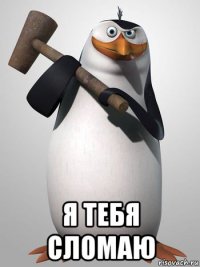  я тебя сломаю