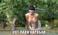 кот лави каробка