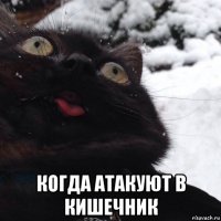  когда атакуют в кишечник
