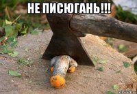 не писюгань!!! 