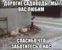 дорогие садоводы, мы вас любим спасибо что заботитесь о нас
