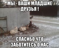 мы - ваши младшие друзья ! спасибо что заботитесь о нас