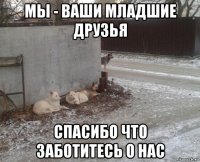 мы - ваши младшие друзья спасибо что заботитесь о нас