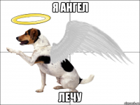 я ангел лечу