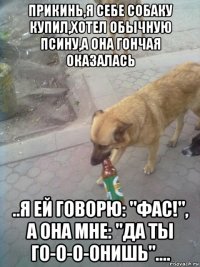прикинь,я себе собаку купил,хотел обычную псину,а она гончая оказалась ..я ей говорю: "фас!", а она мне: "да ты го-о-о-онишь"....