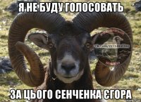 я не буду голосовать за цього сенченка єгора