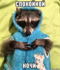спокойной ночи*