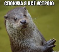 спокуха я всё устрою. 