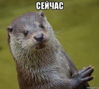 сейчас 
